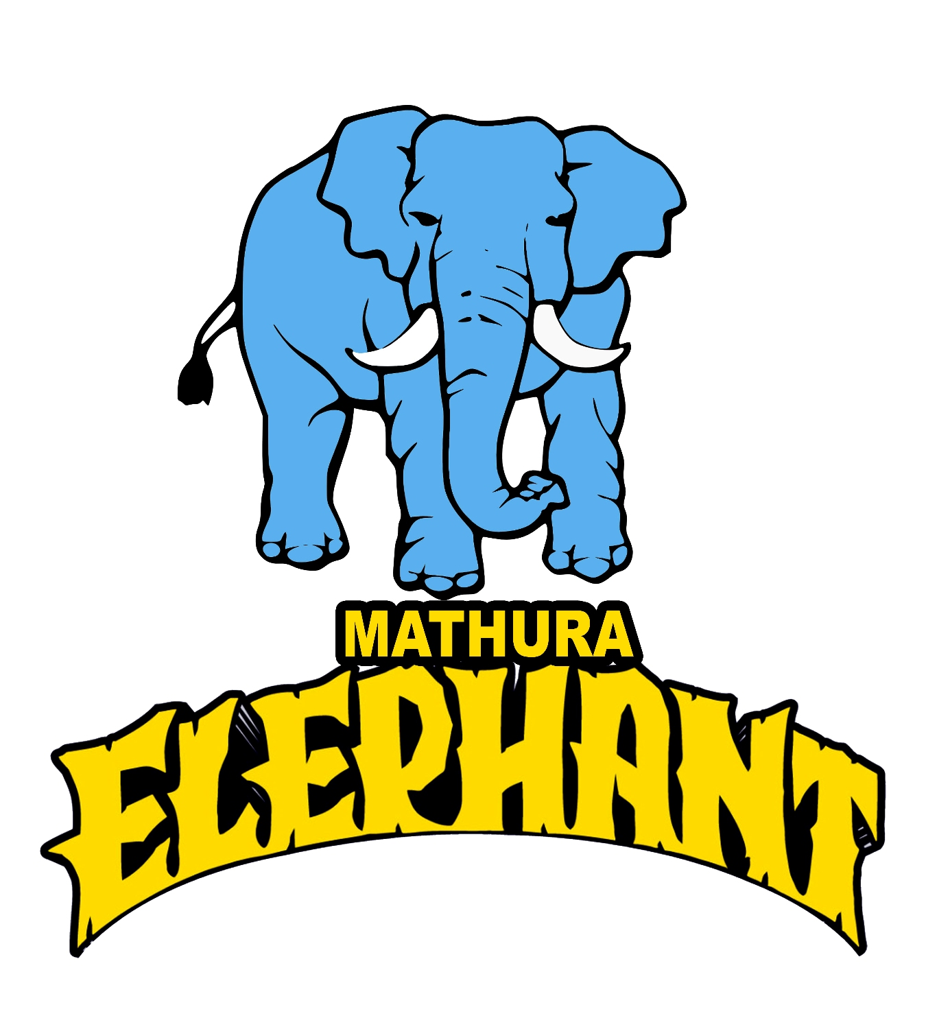 Mathura Cricket League 2016 - Photo 3