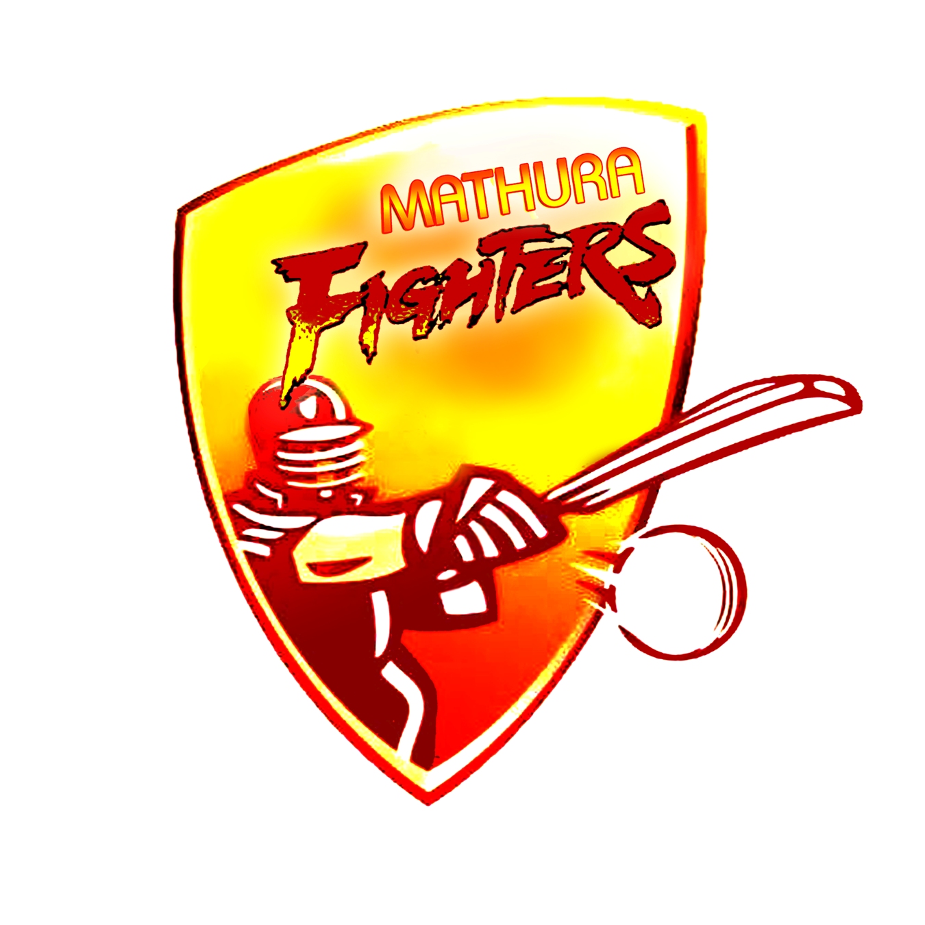 Mathura Cricket League 2016 - Photo 7