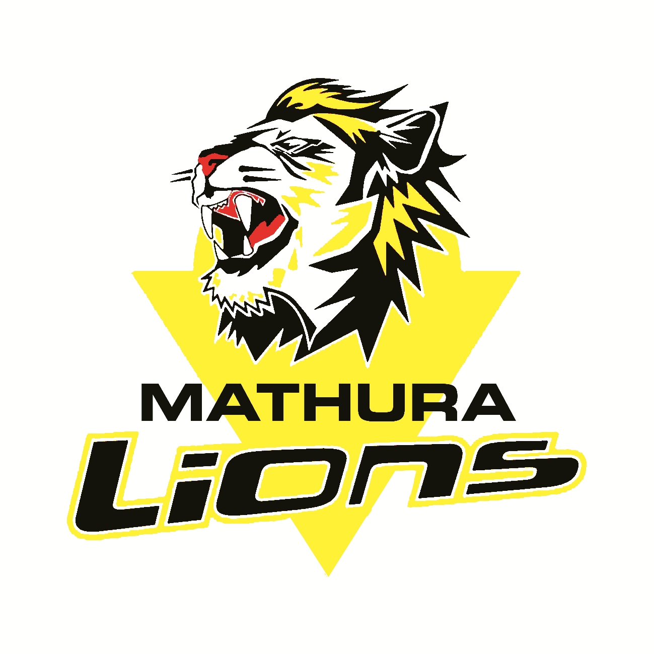 Mathura Cricket League 2016 - Photo 8